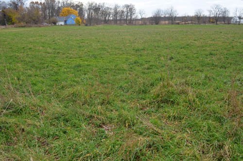 Property photo 27 - 80 Acres & Home - Property Offered in 4 Tracts from 2.3 to 30.0 Acres